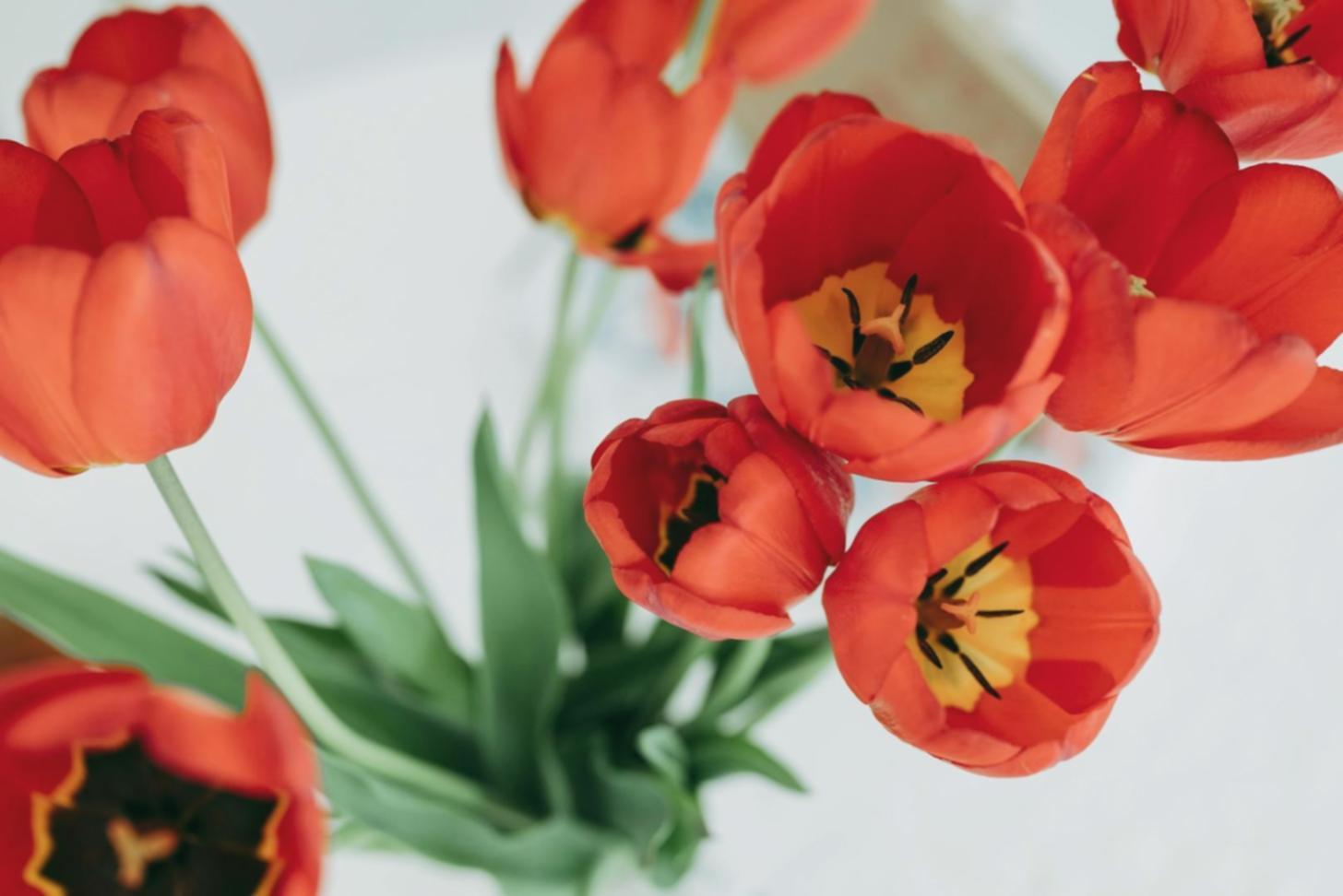 Floral design workspace with professional arrangements